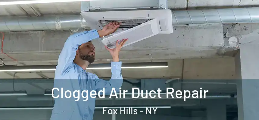Clogged Air Duct Repair Fox Hills - NY