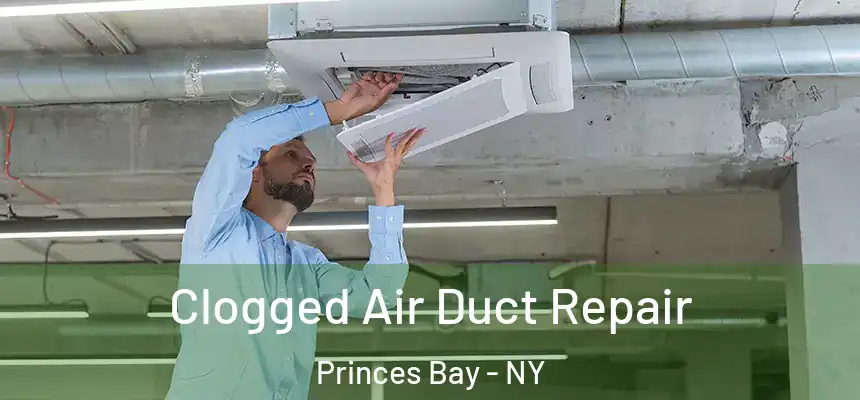 Clogged Air Duct Repair Princes Bay - NY
