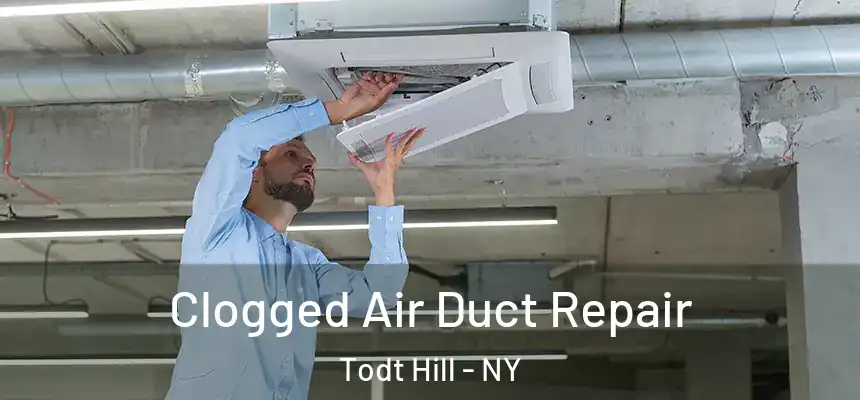 Clogged Air Duct Repair Todt Hill - NY