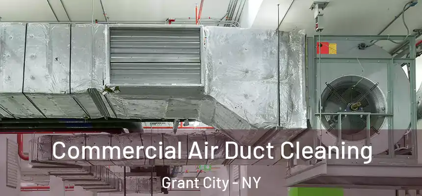 Commercial Air Duct Cleaning Grant City - NY