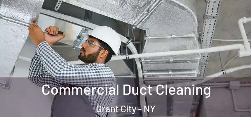 Commercial Duct Cleaning Grant City - NY
