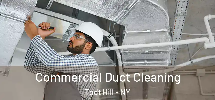  Commercial Duct Cleaning Todt Hill - NY