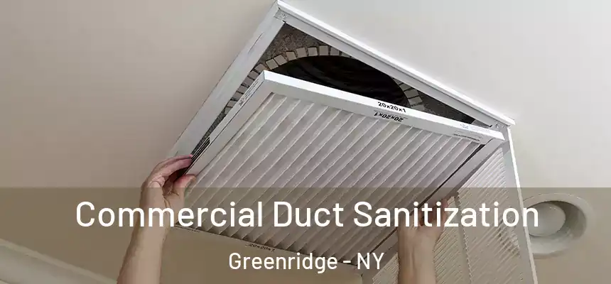 Commercial Duct Sanitization Greenridge - NY