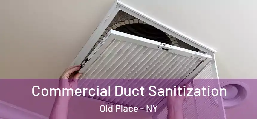 Commercial Duct Sanitization Old Place - NY