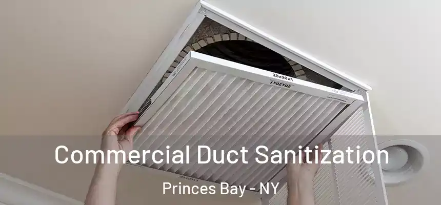 Commercial Duct Sanitization Princes Bay - NY