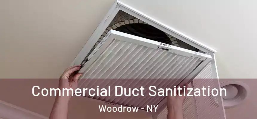 Commercial Duct Sanitization Woodrow - NY