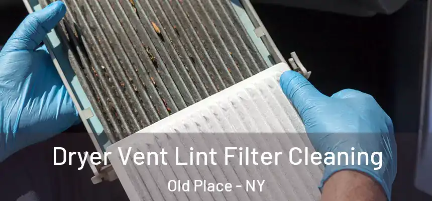 Dryer Vent Lint Filter Cleaning Old Place - NY
