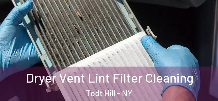  Dryer Vent Lint Filter Cleaning Todt Hill - NY
