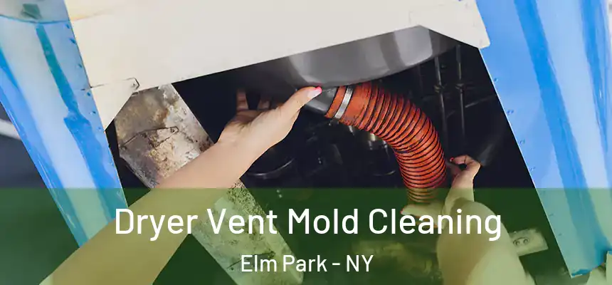  Dryer Vent Mold Cleaning Elm Park - NY