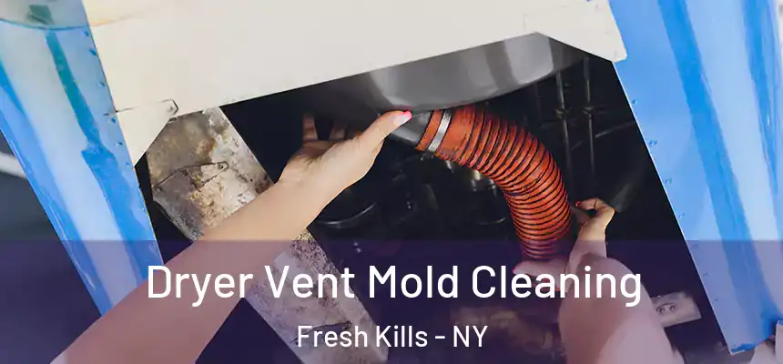 Dryer Vent Mold Cleaning Fresh Kills - NY