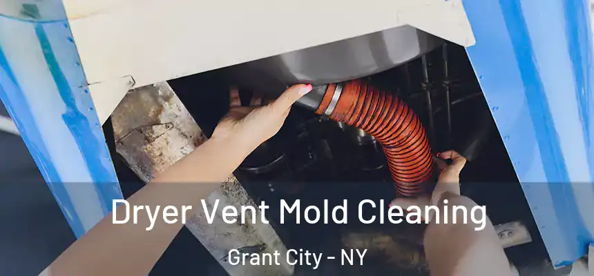  Dryer Vent Mold Cleaning Grant City - NY