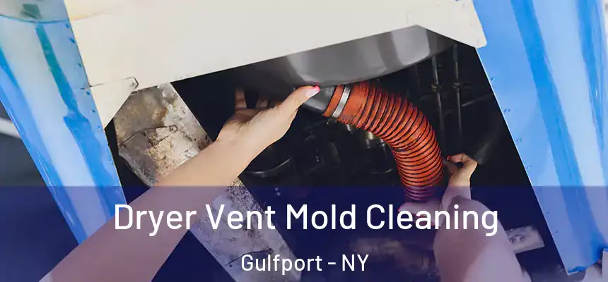 Dryer Vent Mold Cleaning Gulfport - NY