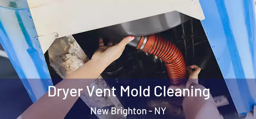  Dryer Vent Mold Cleaning New Brighton - NY