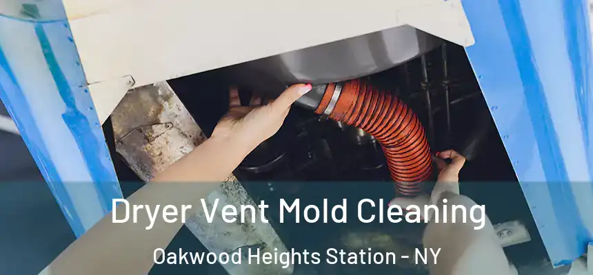  Dryer Vent Mold Cleaning Oakwood Heights Station - NY