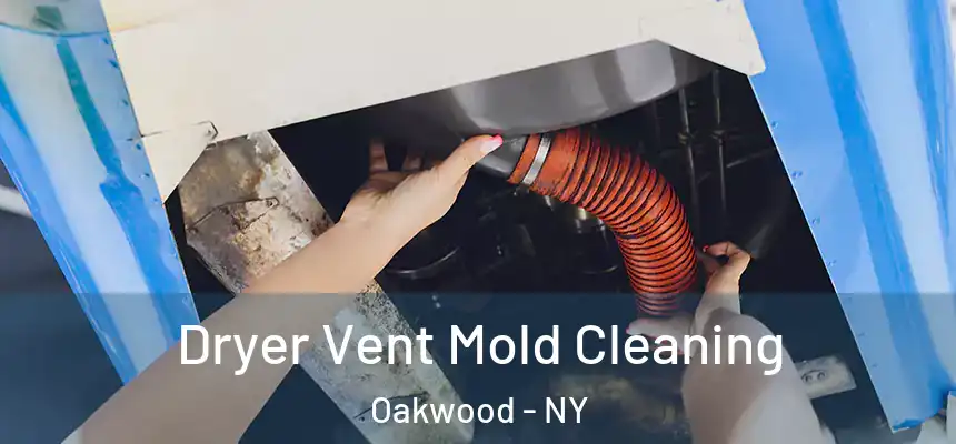 Dryer Vent Mold Cleaning Oakwood - NY