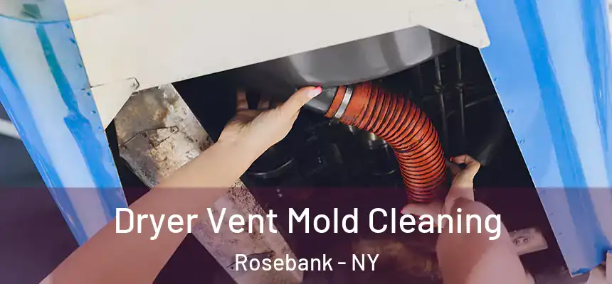 Dryer Vent Mold Cleaning Rosebank - NY