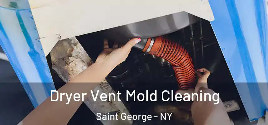 Dryer Vent Mold Cleaning Saint George - NY