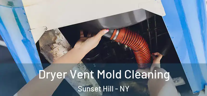 Dryer Vent Mold Cleaning Sunset Hill - NY