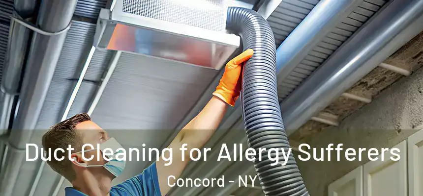 Duct Cleaning for Allergy Sufferers Concord - NY