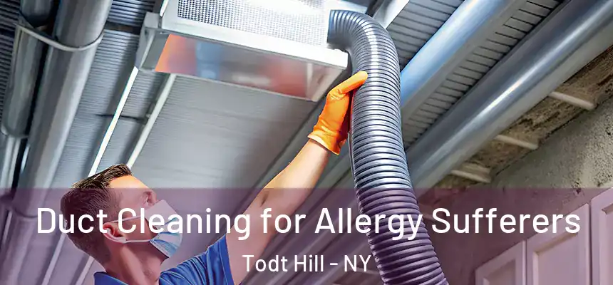 Duct Cleaning for Allergy Sufferers Todt Hill - NY