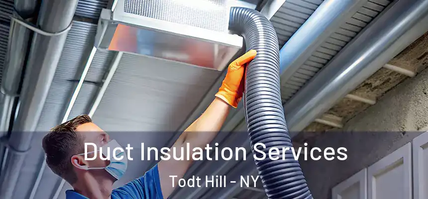 Duct Insulation Services Todt Hill - NY