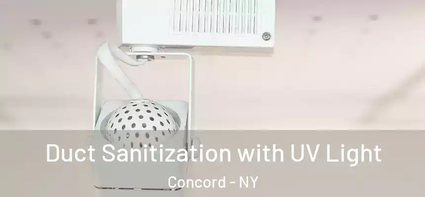  Duct Sanitization with UV Light Concord - NY