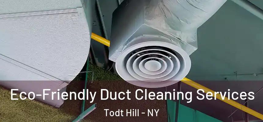 Eco-Friendly Duct Cleaning Services Todt Hill - NY
