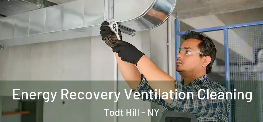 Energy Recovery Ventilation Cleaning Todt Hill - NY