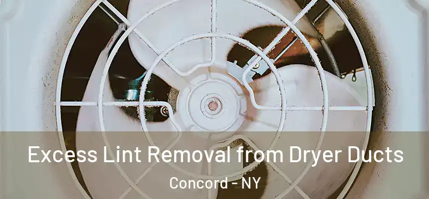  Excess Lint Removal from Dryer Ducts Concord - NY