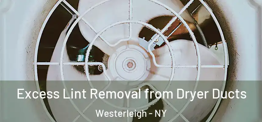  Excess Lint Removal from Dryer Ducts Westerleigh - NY