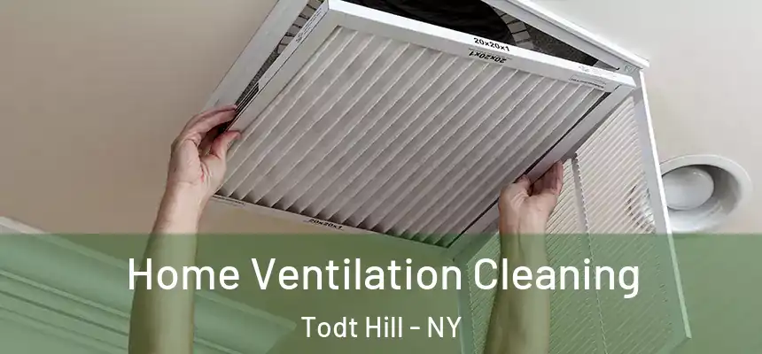 Home Ventilation Cleaning Todt Hill - NY