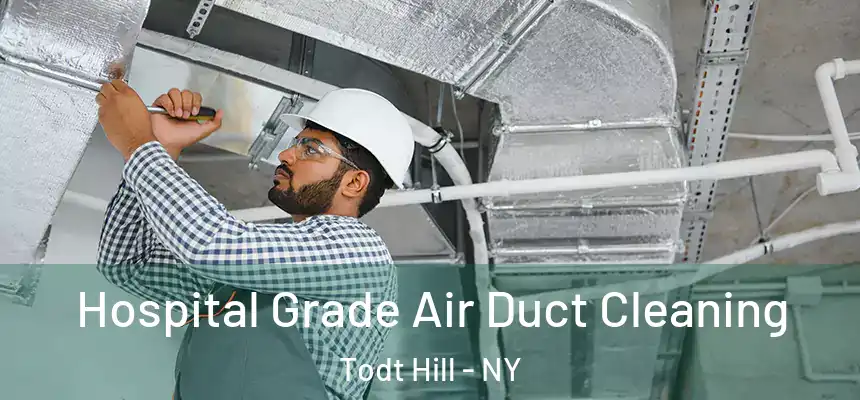 Hospital Grade Air Duct Cleaning Todt Hill - NY