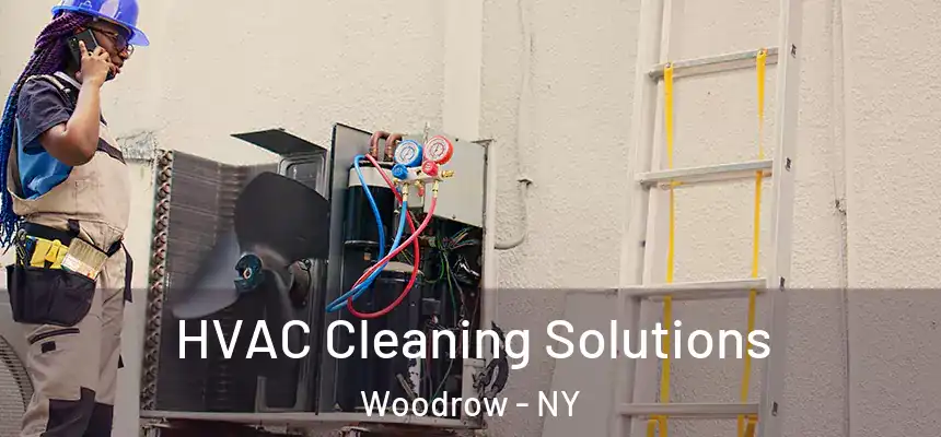 HVAC Cleaning Solutions Woodrow - NY