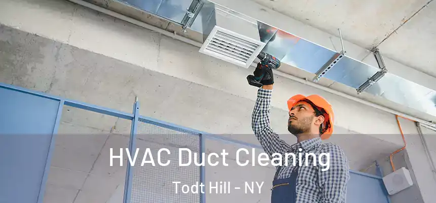  HVAC Duct Cleaning Todt Hill - NY