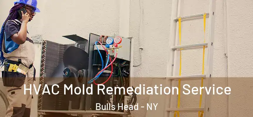 HVAC Mold Remediation Service Bulls Head - NY