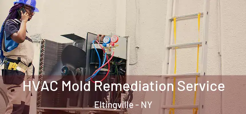  HVAC Mold Remediation Service Eltingville - NY