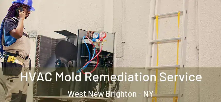 HVAC Mold Remediation Service West New Brighton - NY
