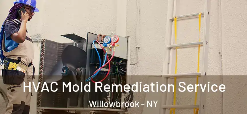 HVAC Mold Remediation Service Willowbrook - NY