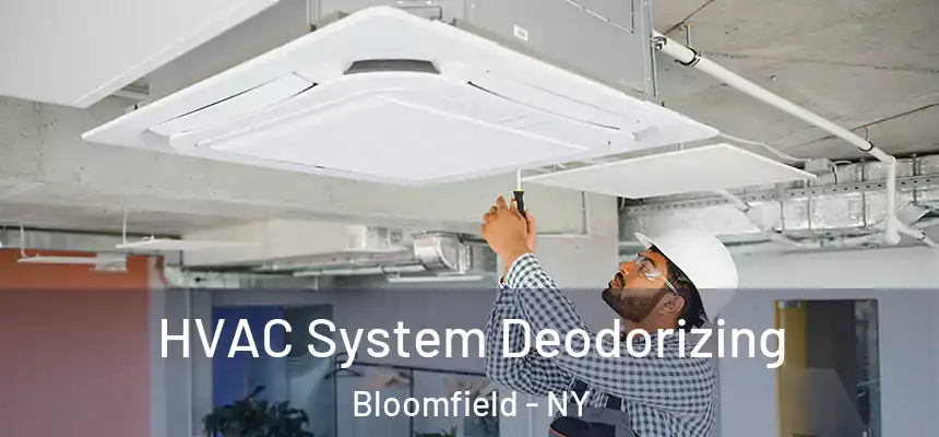  HVAC System Deodorizing Bloomfield - NY