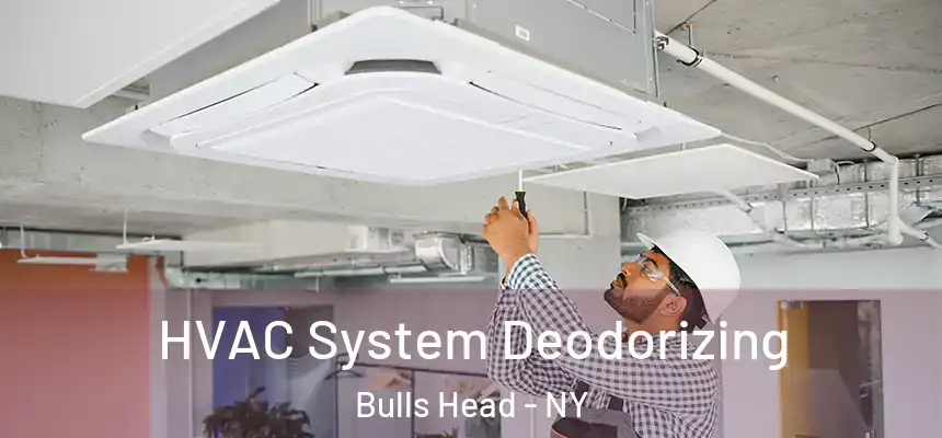 HVAC System Deodorizing Bulls Head - NY