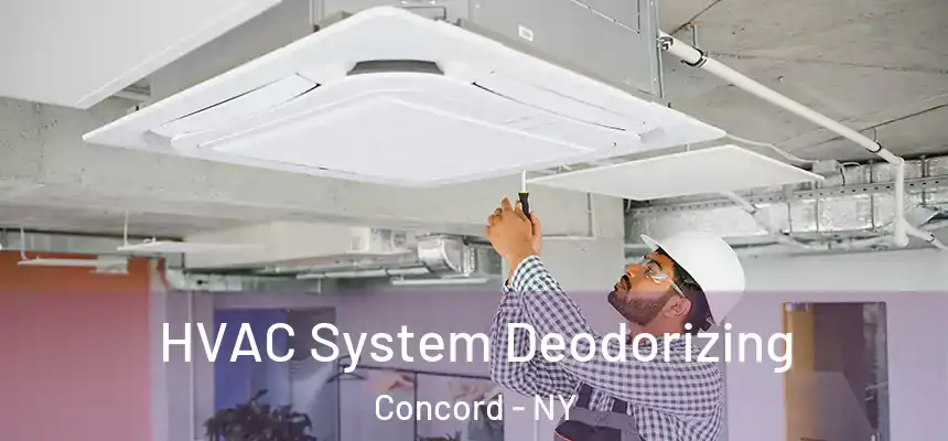 HVAC System Deodorizing Concord - NY