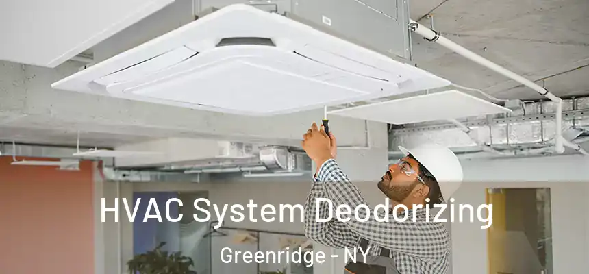  HVAC System Deodorizing Greenridge - NY