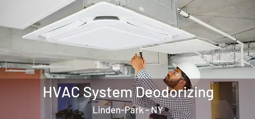HVAC System Deodorizing Linden-Park - NY