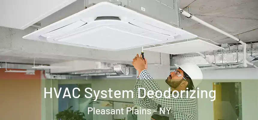 HVAC System Deodorizing Pleasant Plains - NY