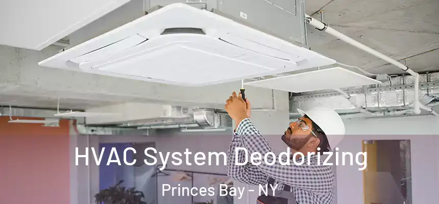 HVAC System Deodorizing Princes Bay - NY