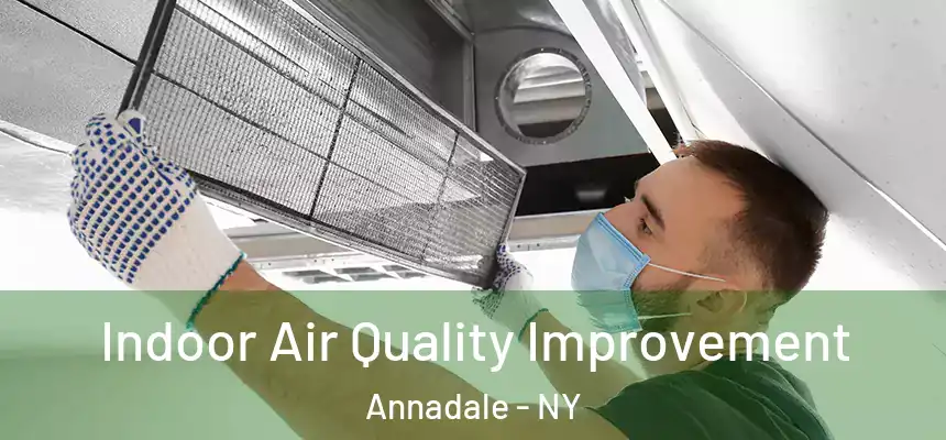 Indoor Air Quality Improvement Annadale - NY