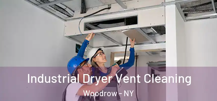  Industrial Dryer Vent Cleaning Woodrow - NY