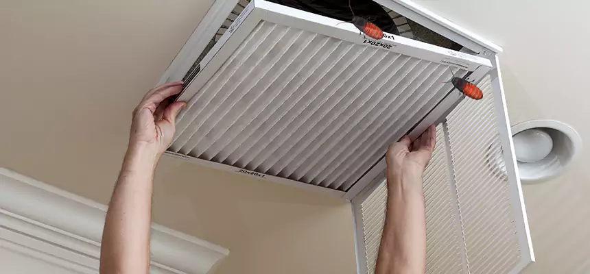 Preventive Cockroach-Proofing for Ducts in Staten Island