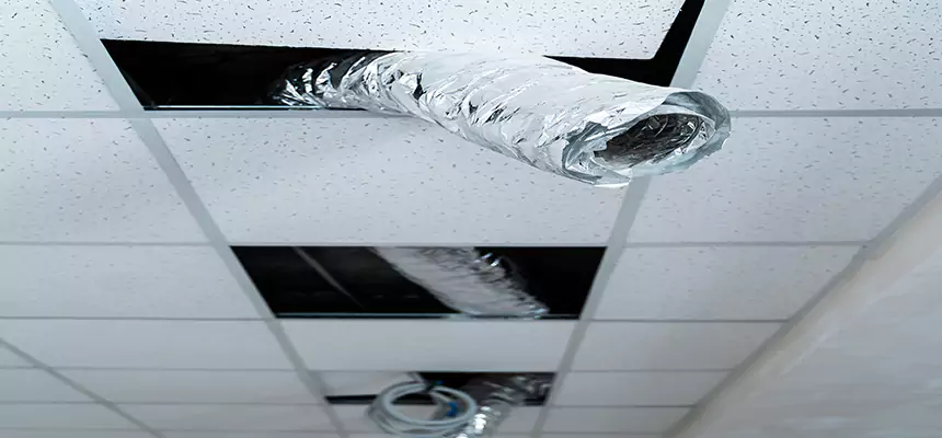 Our Air Duct Pet Hair Removal Services in Arrochar, NY