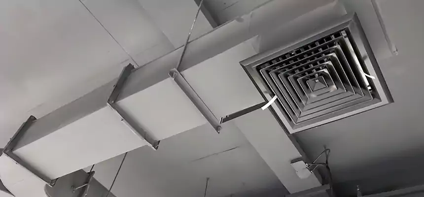 Restorative Allergy Relief Vent Cleaning – Coil, Blower & Housing Detail in Staten Island